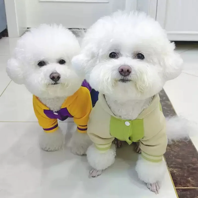Mono para perros y gatos con estampado de letras – Chaqueta suave de otoño