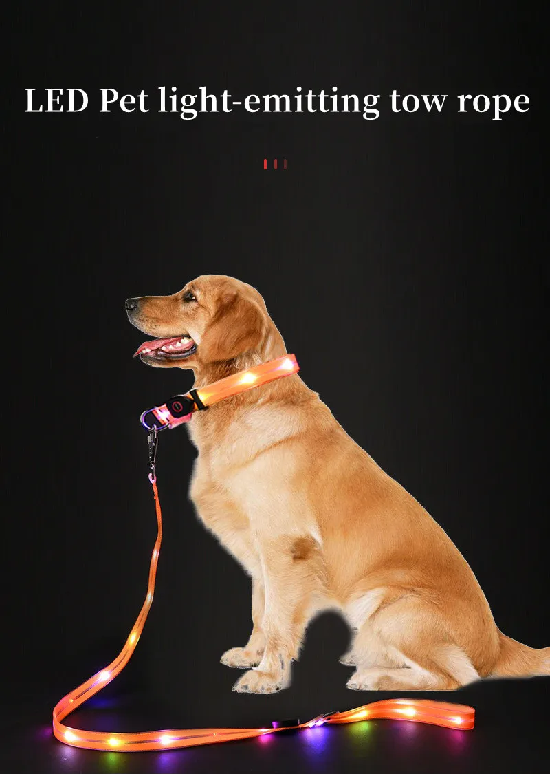 Collar LED nocturno para perro en la oscuridad