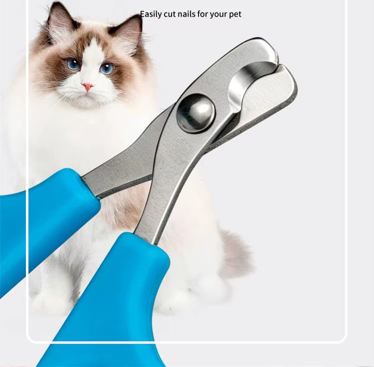 Detalle del protector de seguridad y mango ergonómico