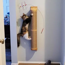 Escalada para gatos en pared con sisal, hamaca y plataforma