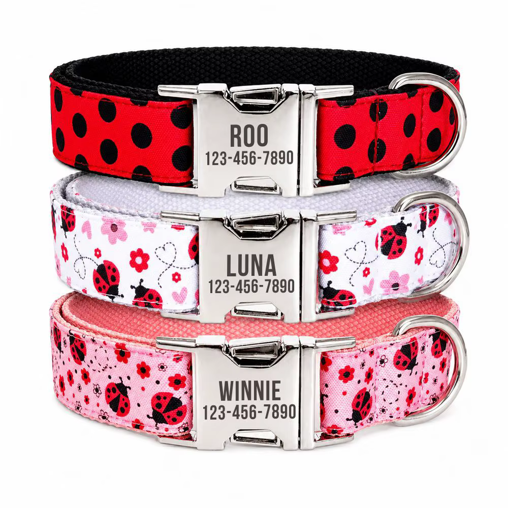 Collar Personalizado para Perro con Teléfono Grabado – Diseño Mariquita para Cachorros - imagen 5