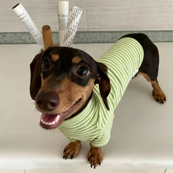 Abrigo de forro polar a rayas verdes para perros salchicha