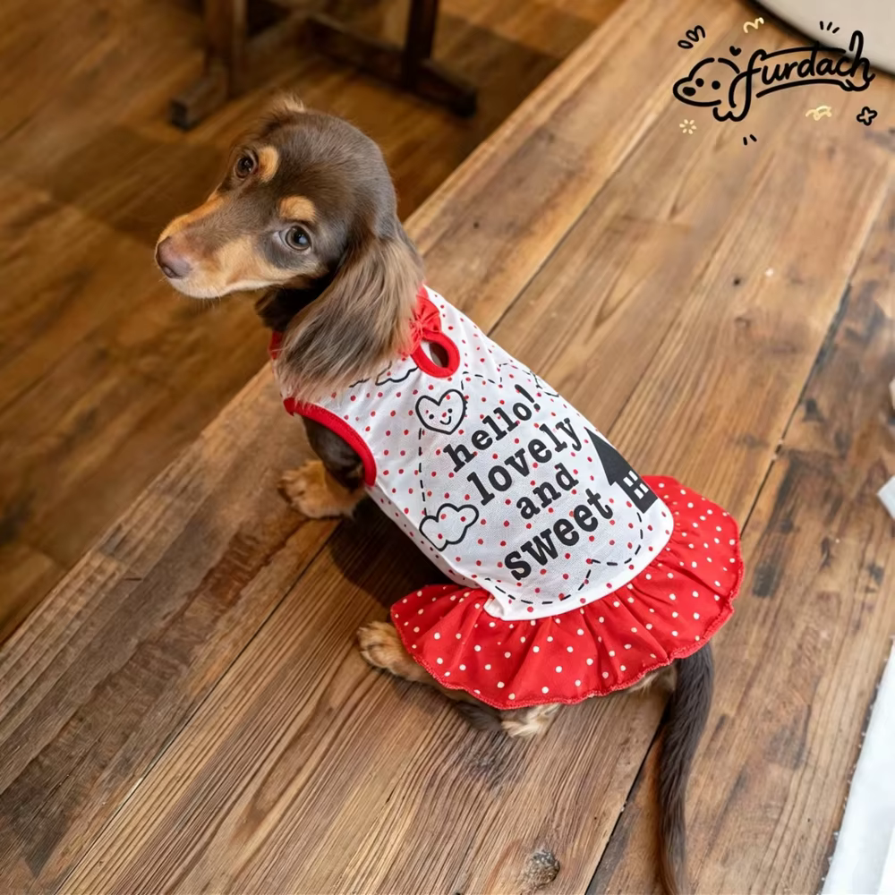 Vestido rústico con lazo para gatos y perros: falda verano - imagen 5