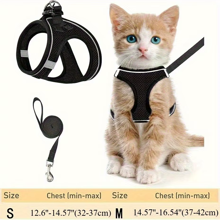 Arnés para gatos tipo chaleco ajustable – Paseo seguro