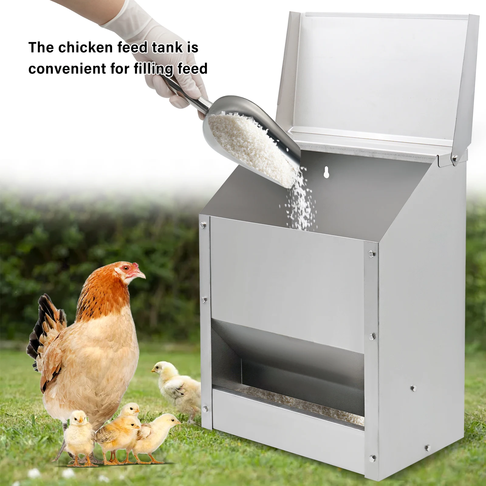 Comedero de Acero para Aves de Corral 20L – Resistente a la Oxidación - imagen 3
