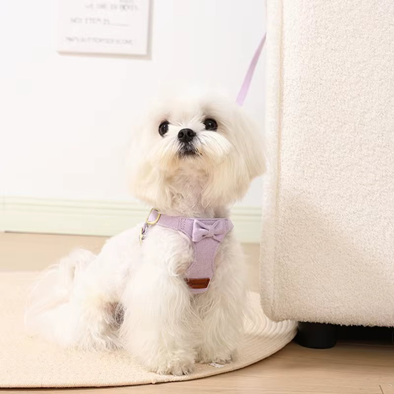 Arnés de gamuza con lazo ajustable para perro – Exterior y entrenamiento - imagen 4