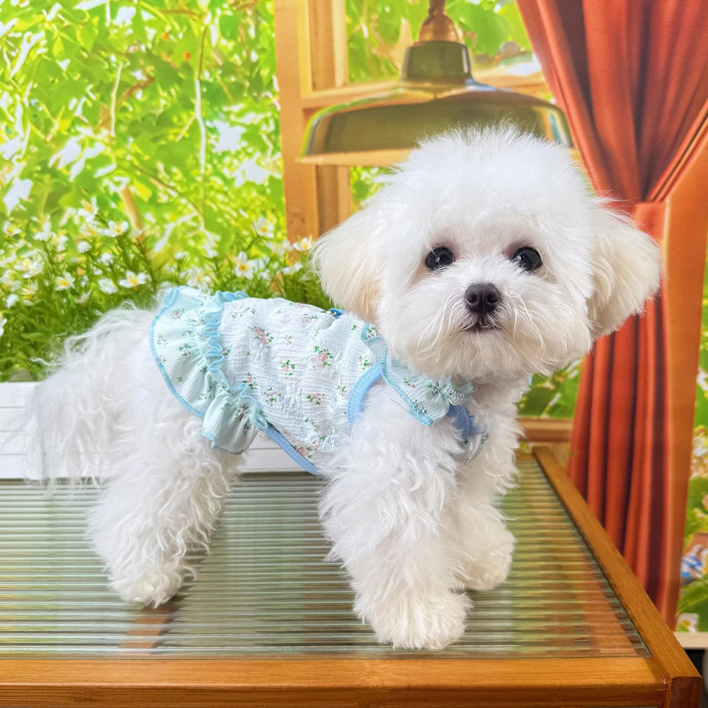 Guía de tallas para ropa de mascotas