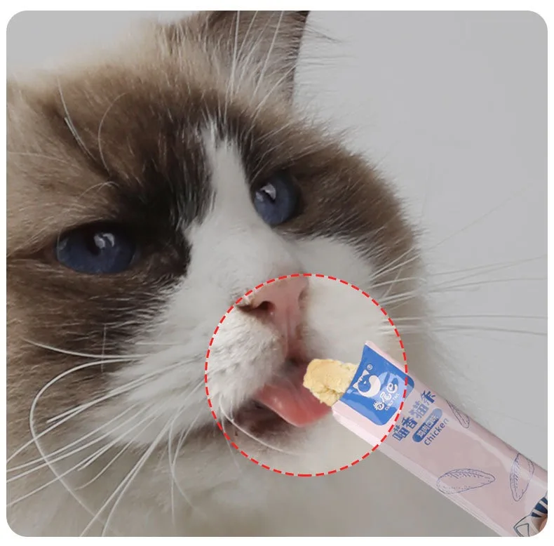 Accesorio compacto para alimentación de gatos