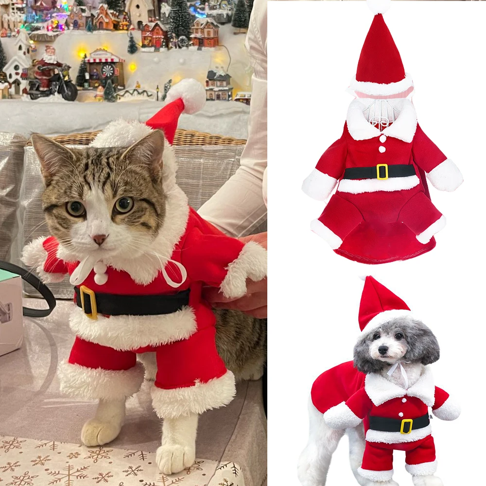 Mascota con traje festivo