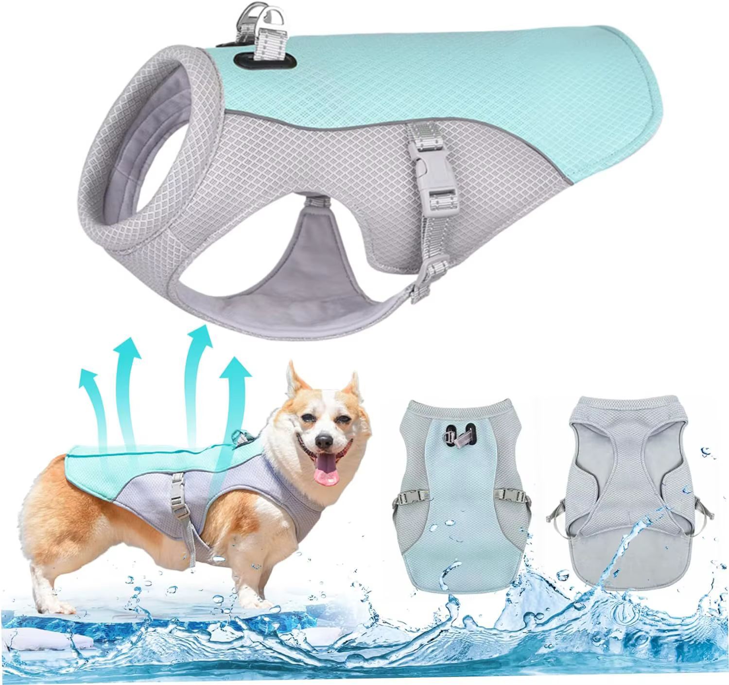 Perro con ropa de verano ligera