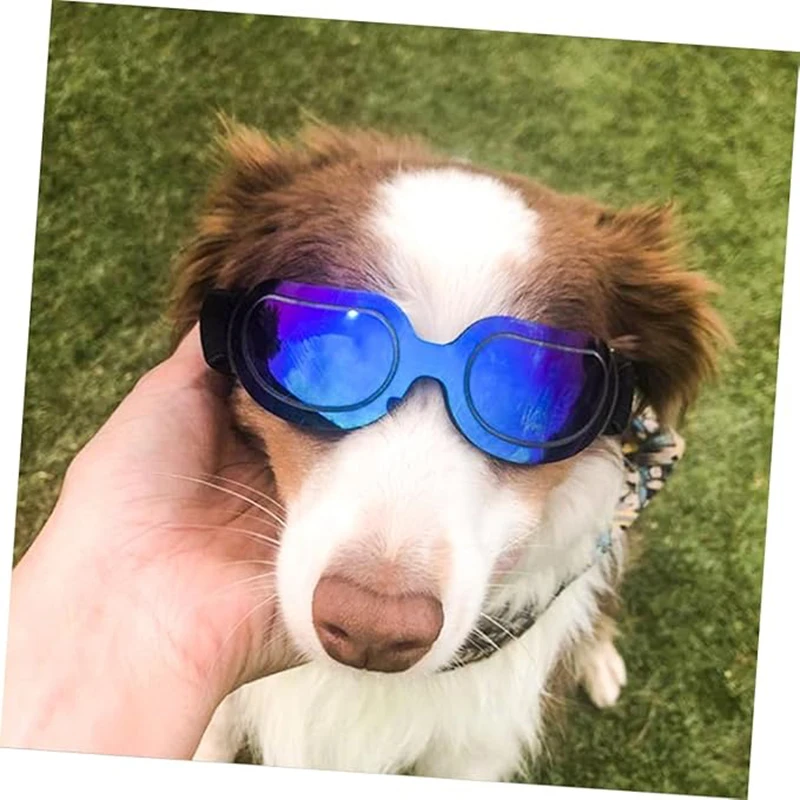 Gafas ajustables para perros