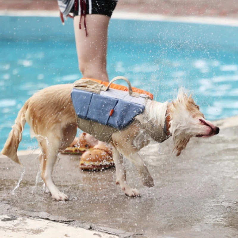 Chaleco salvavidas ajustable para perros grandes – Natación y seguridad - imagen 2