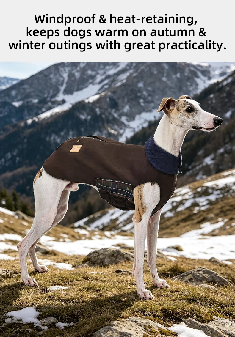 muestra de colores disponibles para la chaqueta vintage de perro