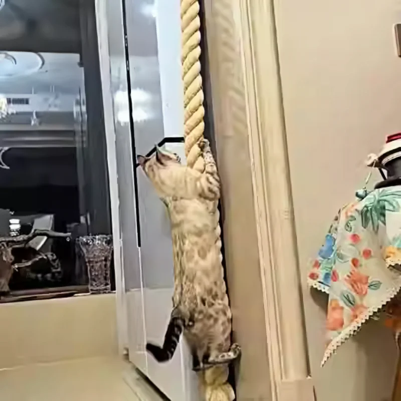 Plataforma con forma de cara de gato