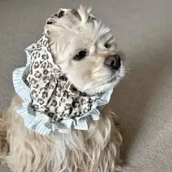 Gorro estilo princesa para perros: accesorio para fotos y paseos