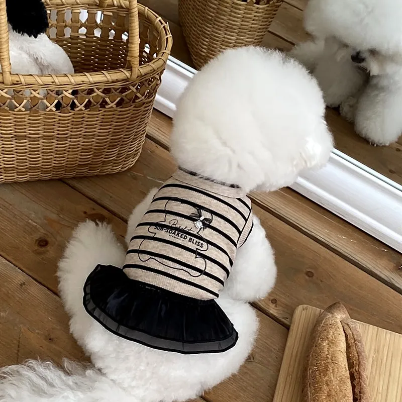 Vestido de encaje para perra con falda a rayas – Chihuahua y Bichón - imagen 5