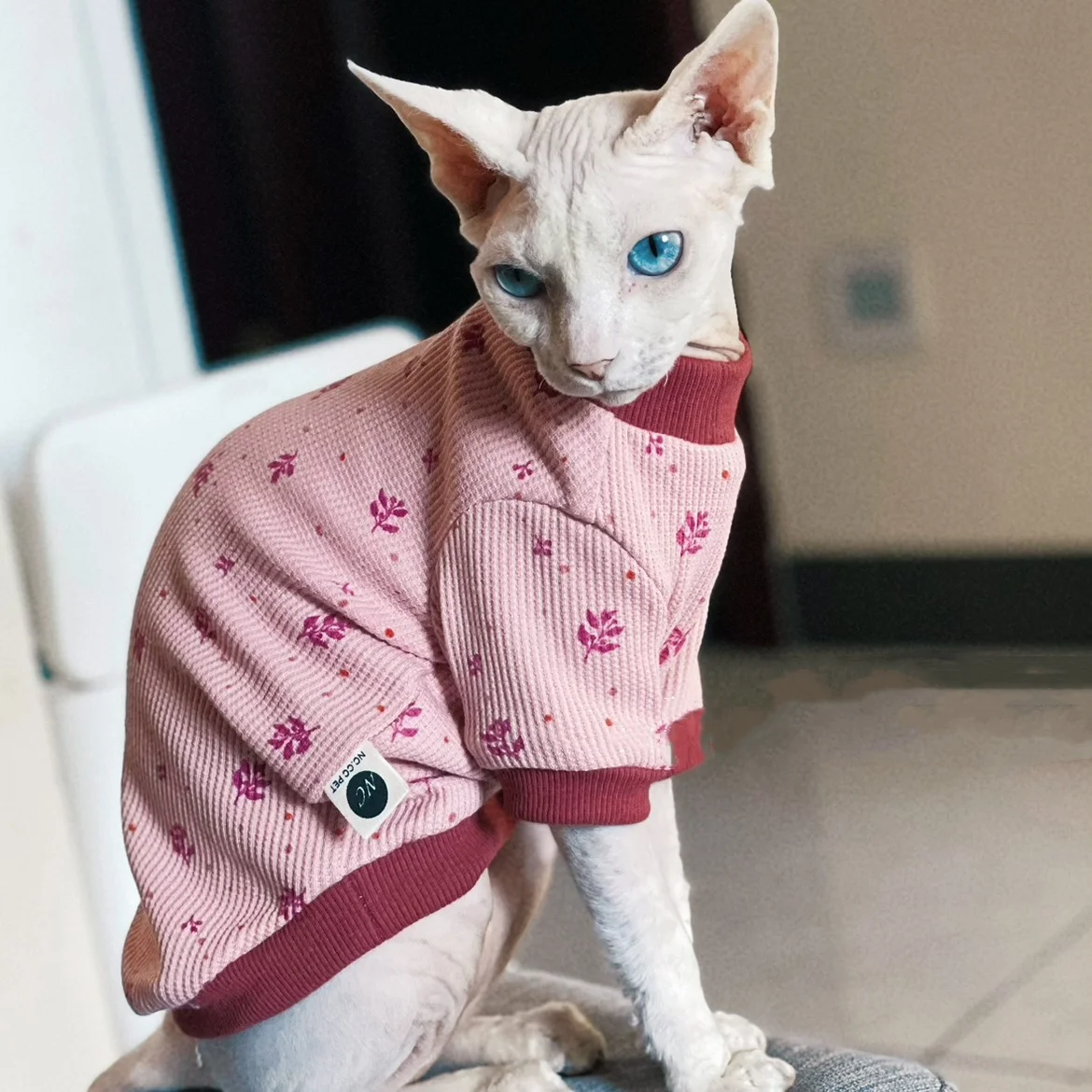 Camiseta elástica suave para gato Sphynx azul primaveral – Ropa floral rosa - imagen 4