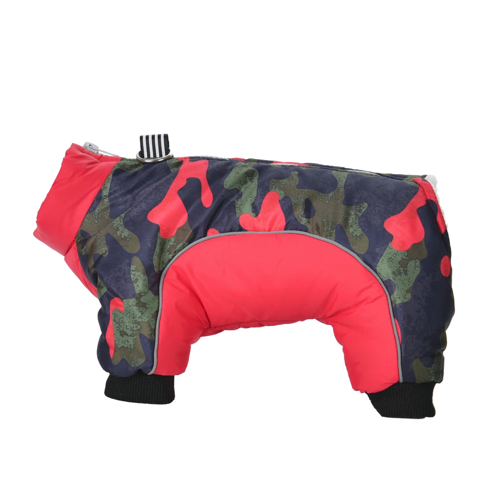 Perro mediano con chaqueta de invierno camuflada posando