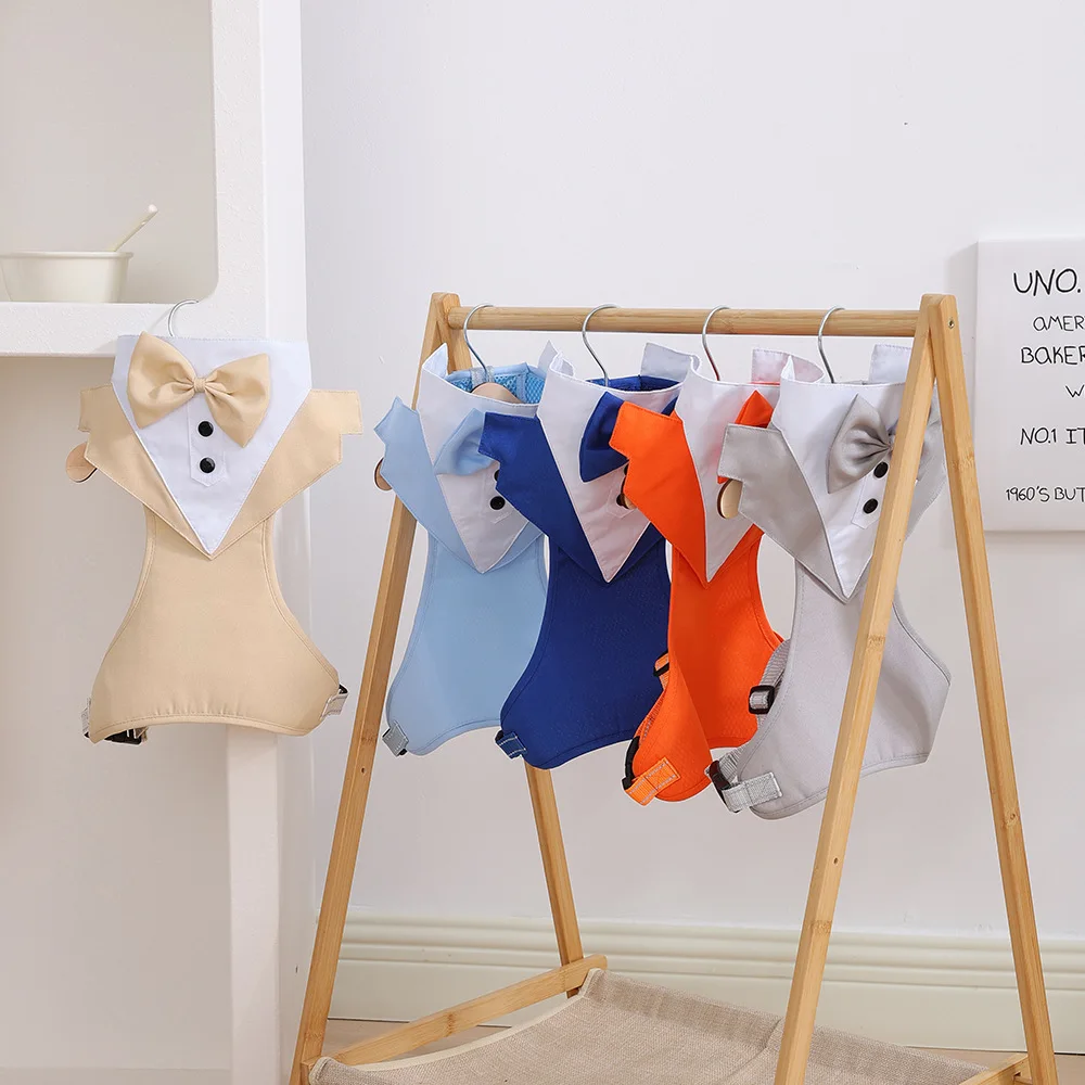 Disfraz Bulldog Francés para perros: traje caballero para fiesta - imagen 3