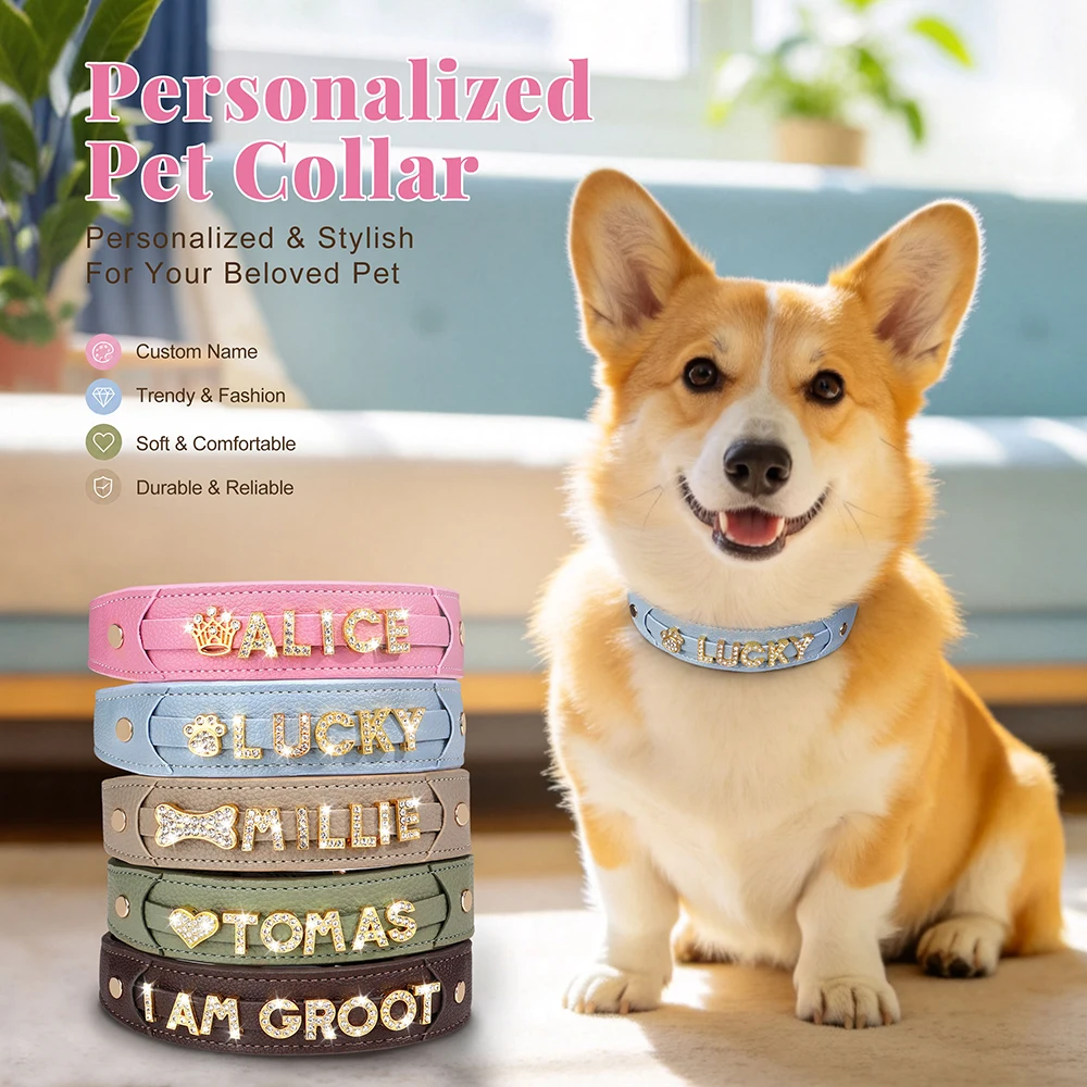 Collar con nombre para perros en diamantes de imitación