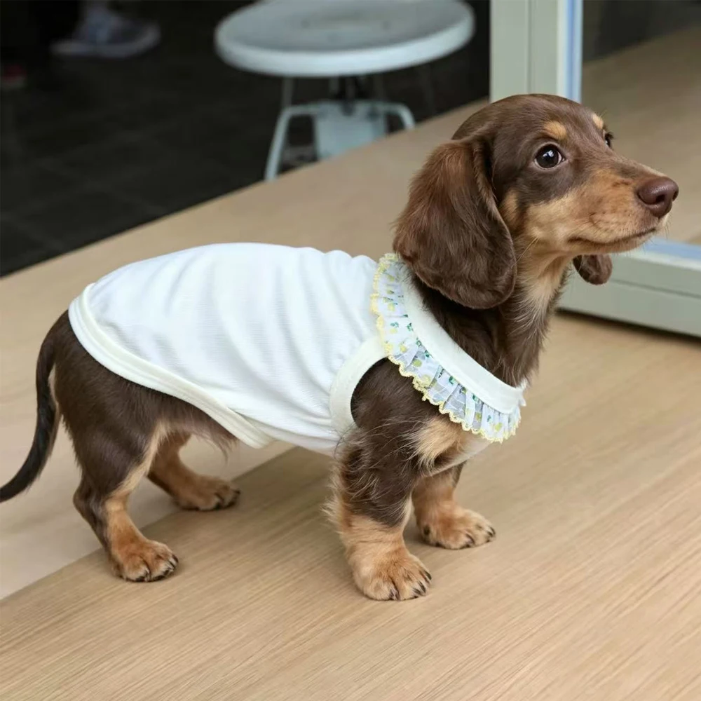 Camiseta verano algodón para perros pequeños y medianos, falda floral - imagen 3