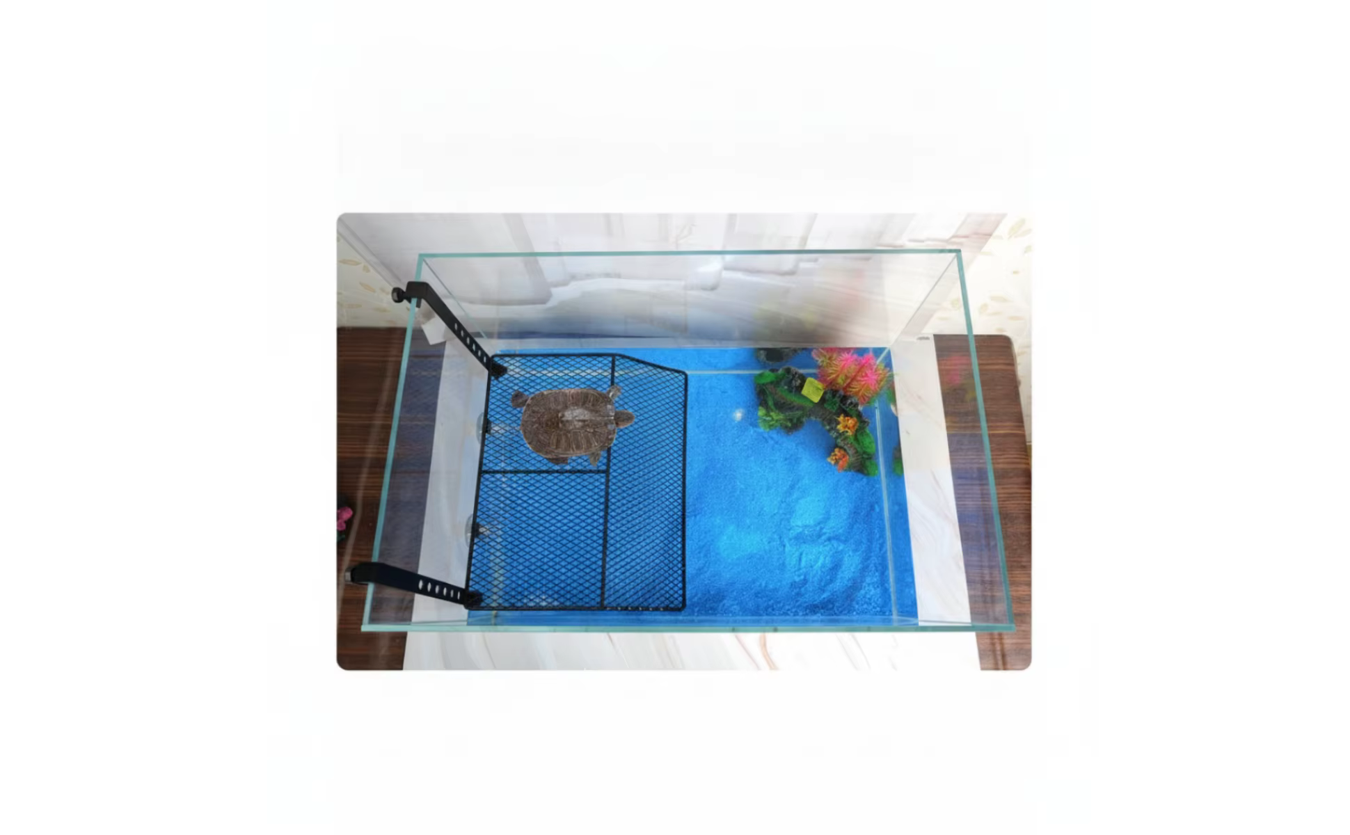 Rampa antideslizante de malla para tortugas