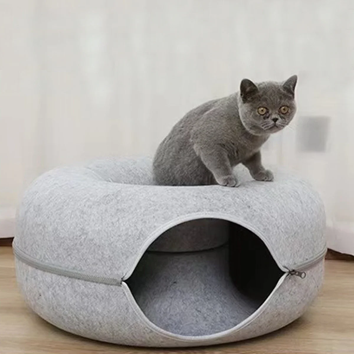 Cama para mascotas en entorno hogareño