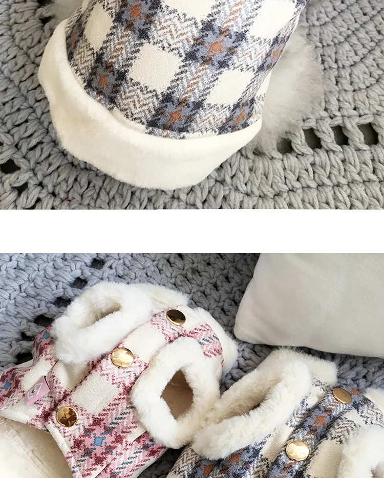 Conjunto en mascota
