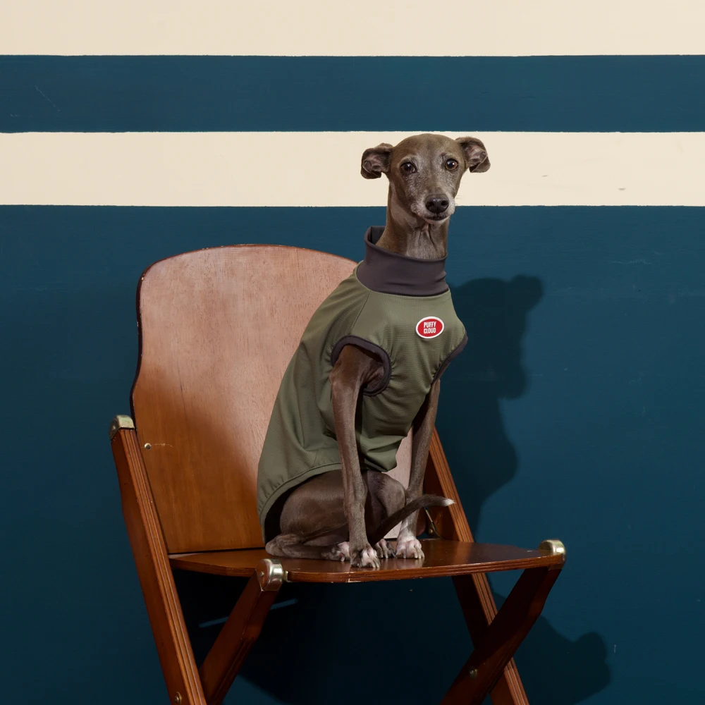 Chaleco perro ultraligero UPF50+ camiseta transpirable verde oscuro - imagen 5