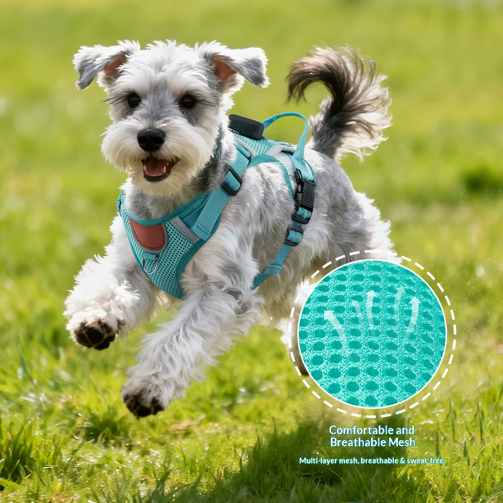 Arnés antipérdida con bolsillo GPS para perros pequeños y medianos - imagen 4