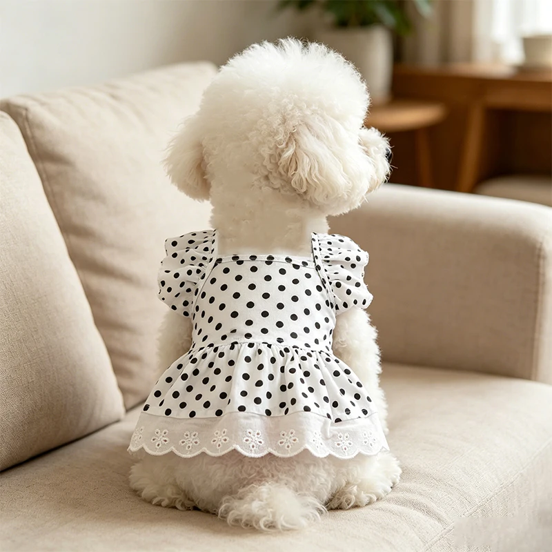 Vestido de verano con lunares para perro y chihuahua y bichón - imagen 4