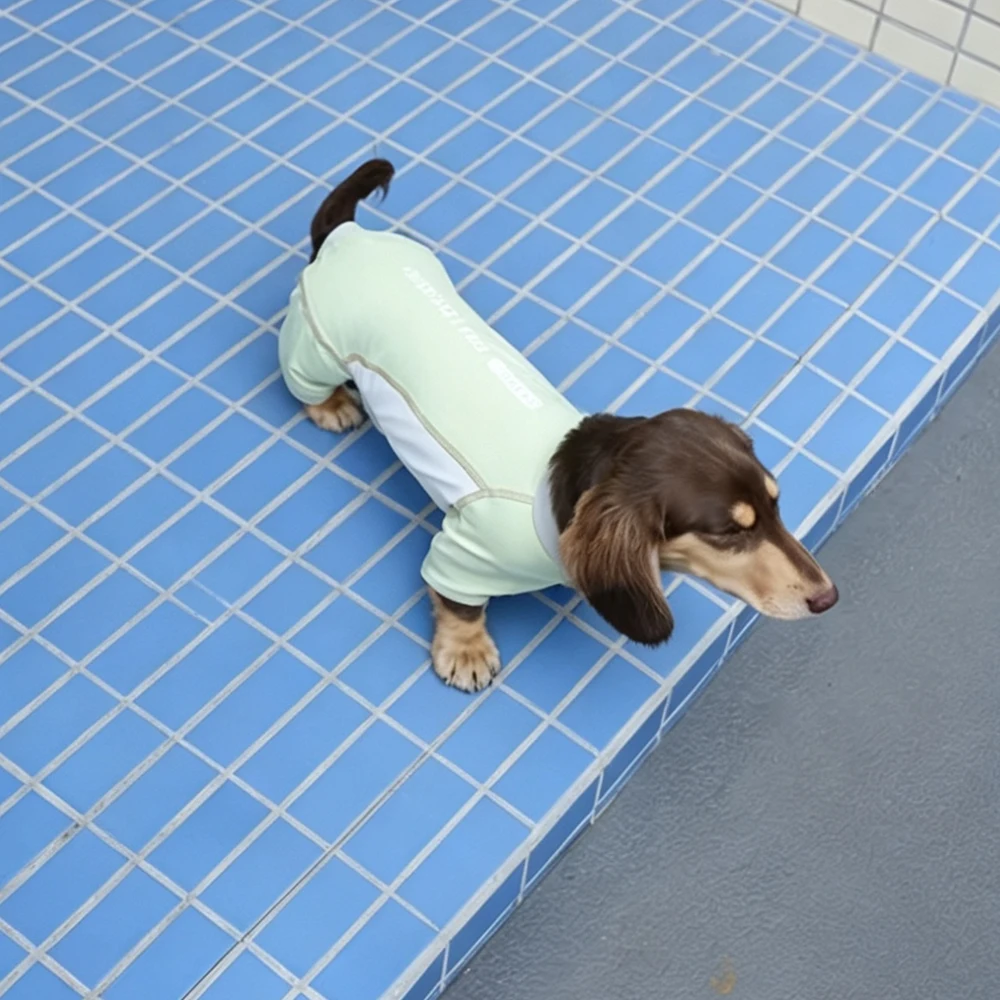 Traje de verano refrescante anti-insectos para Dachshund secado rápido - imagen 4