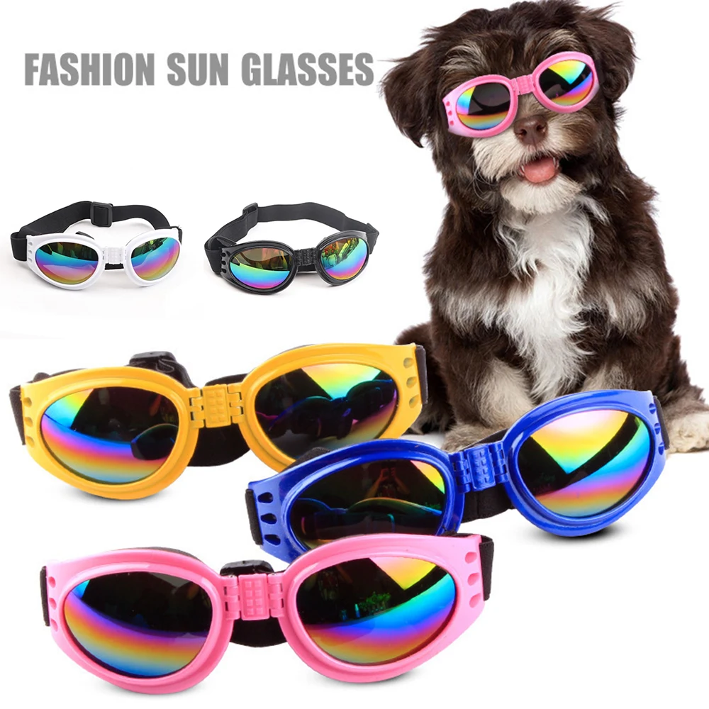 Gafas plegables para perros en color rojo