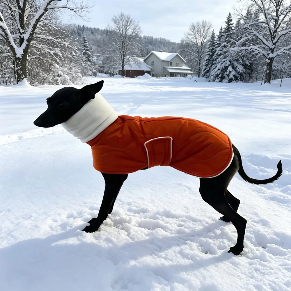 Abrigo invierno naranja algodón para perros medianos, Galgo y Whippet - imagen 4