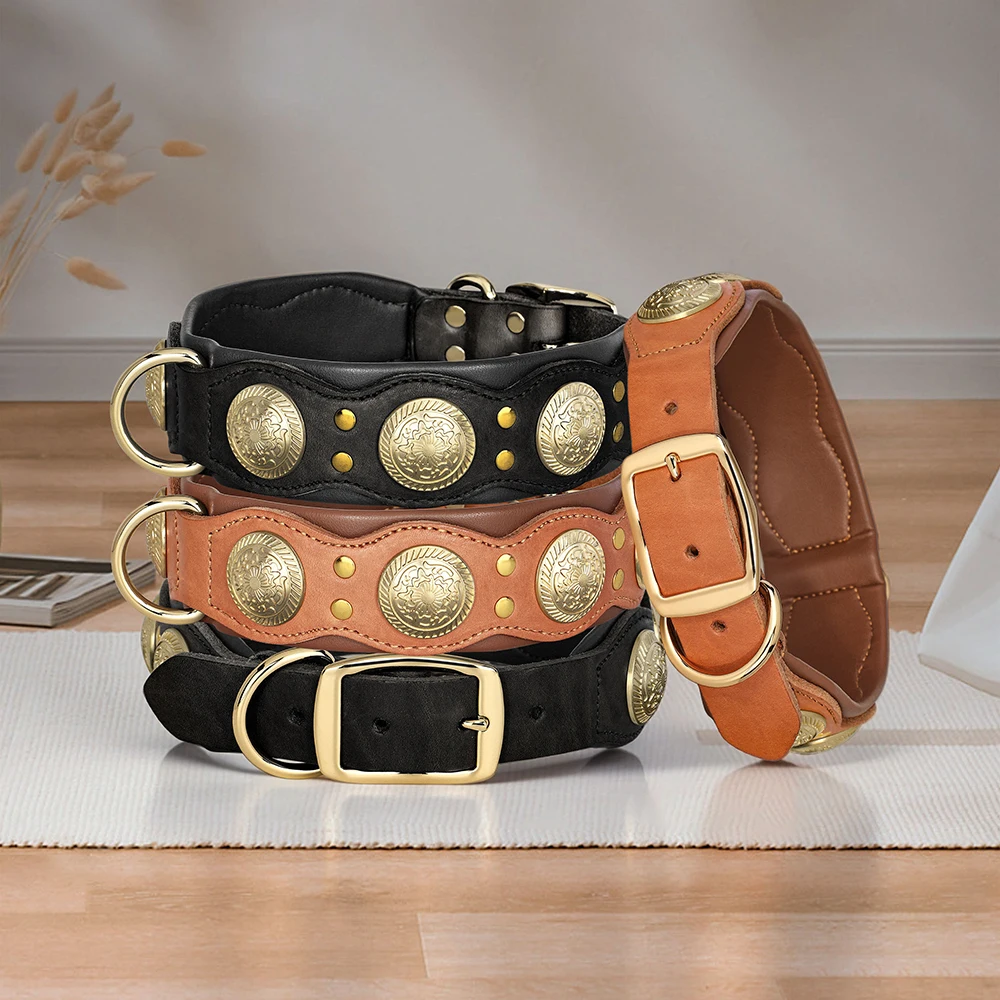 Collar de cuero genuino para perro: tachuelas, Bulldog y Rottweiler
