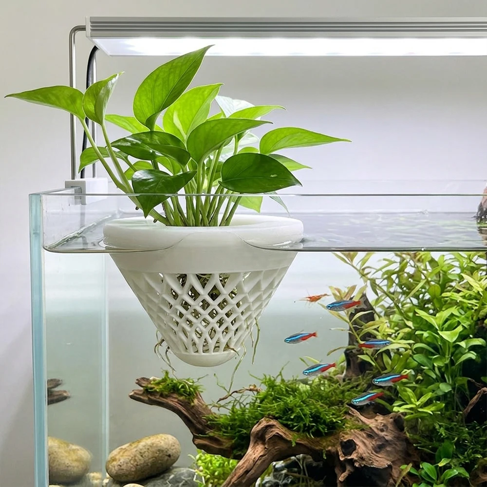 Soporte flotante para plantas de acuario: cesta filtrante - imagen 4