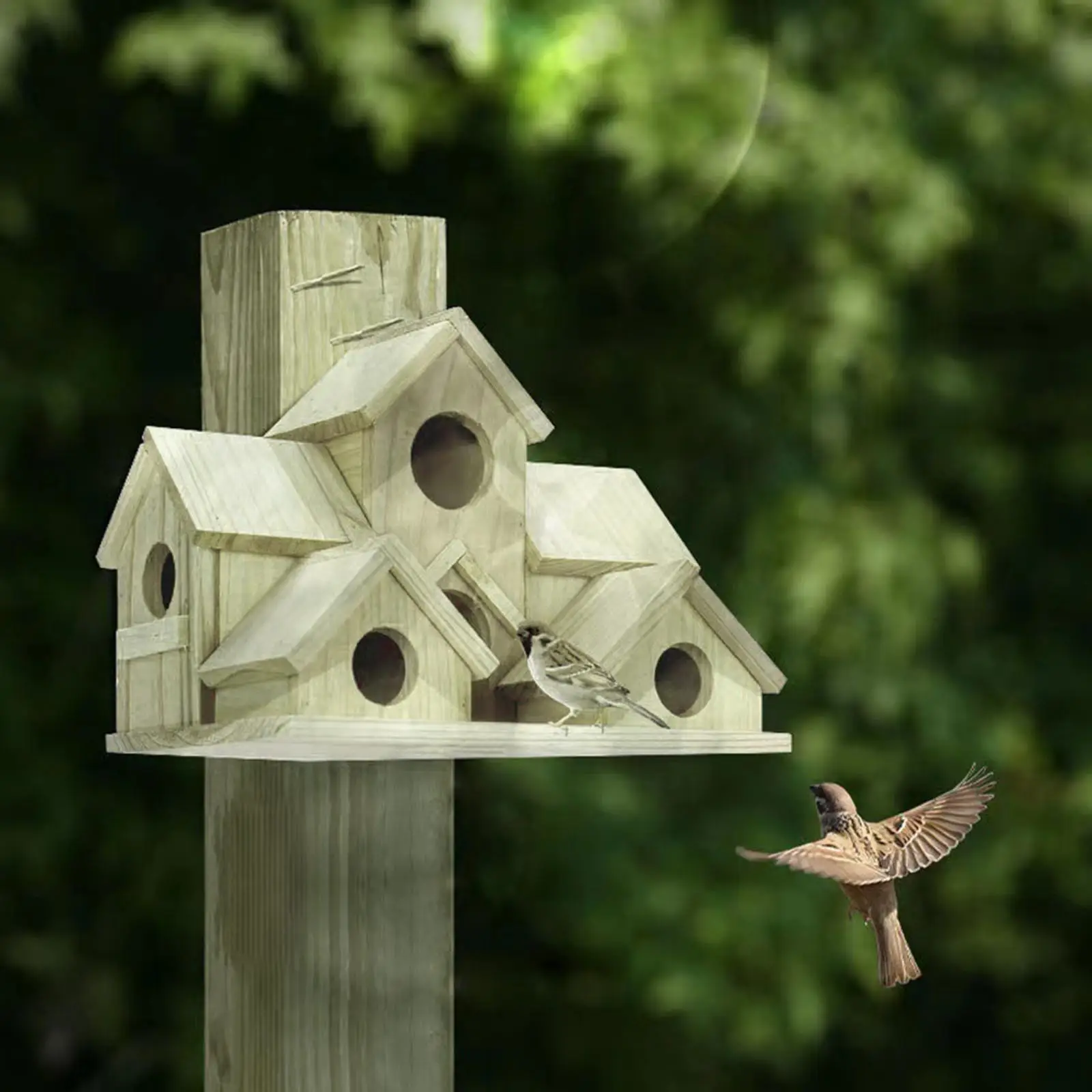 Sistema de colgado de la casa para pájaros para exteriores