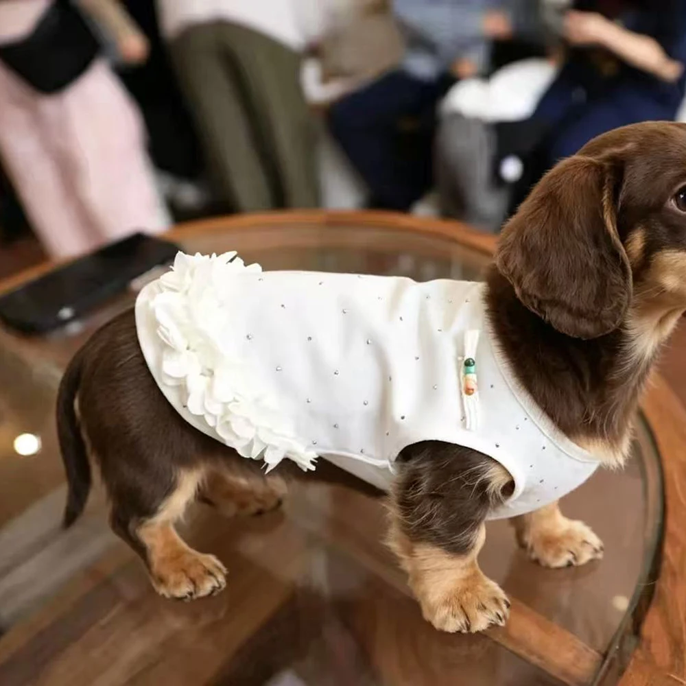 Vestido veraniego con volantes para perras Dachshund – de algodón - imagen 3