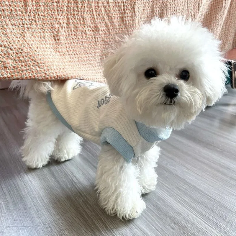 Perro usando chaleco en entorno exterior