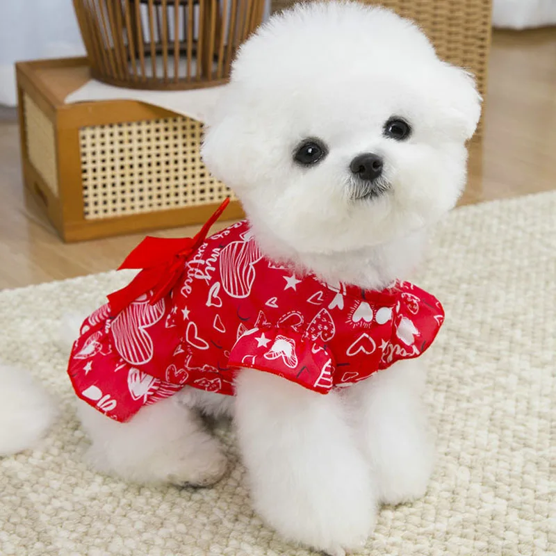 Vestido para perro ABQP completo
