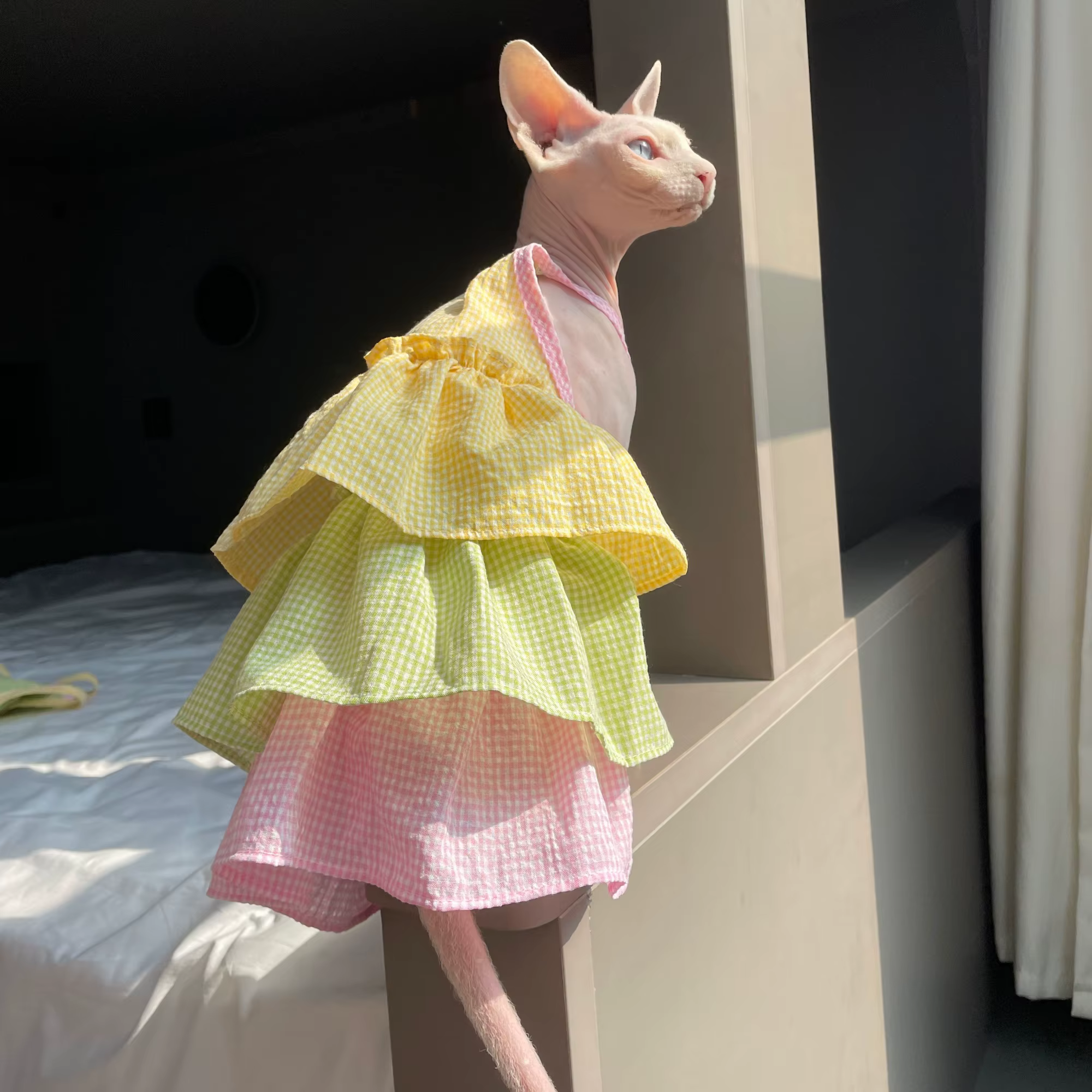 Ropa de verano para gatos Sphynx y Devon Rex: vestido algodón - imagen 4