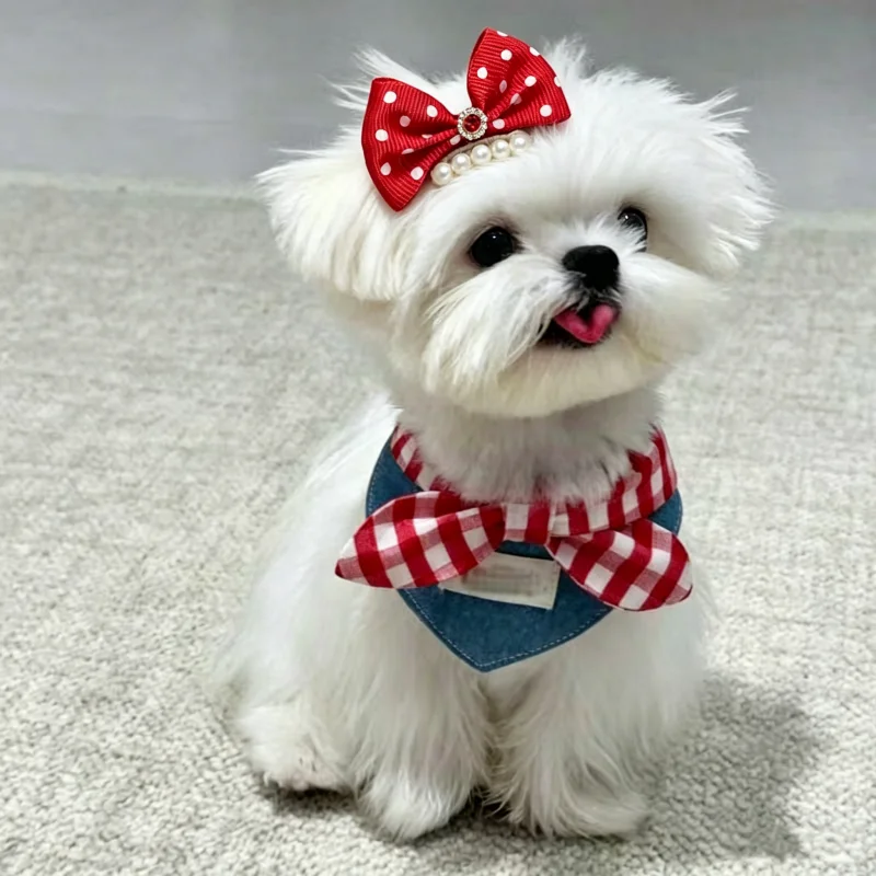 Pañuelo de lujo para perro y lazo a cuadros, set para mascotas - imagen 4