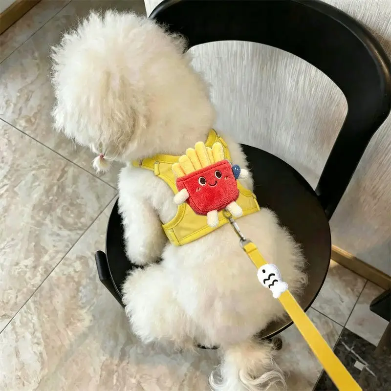 Arnés y correa para perro – Diseño de comida divertido