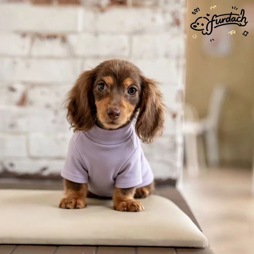 Camiseta suave de forro polar para perros salchicha – base blanca - imagen 2