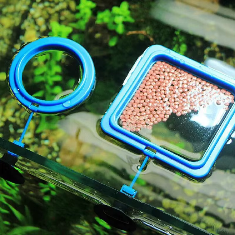 Anillo flotante comedero acuario con ventosa fija para guppys - imagen 4