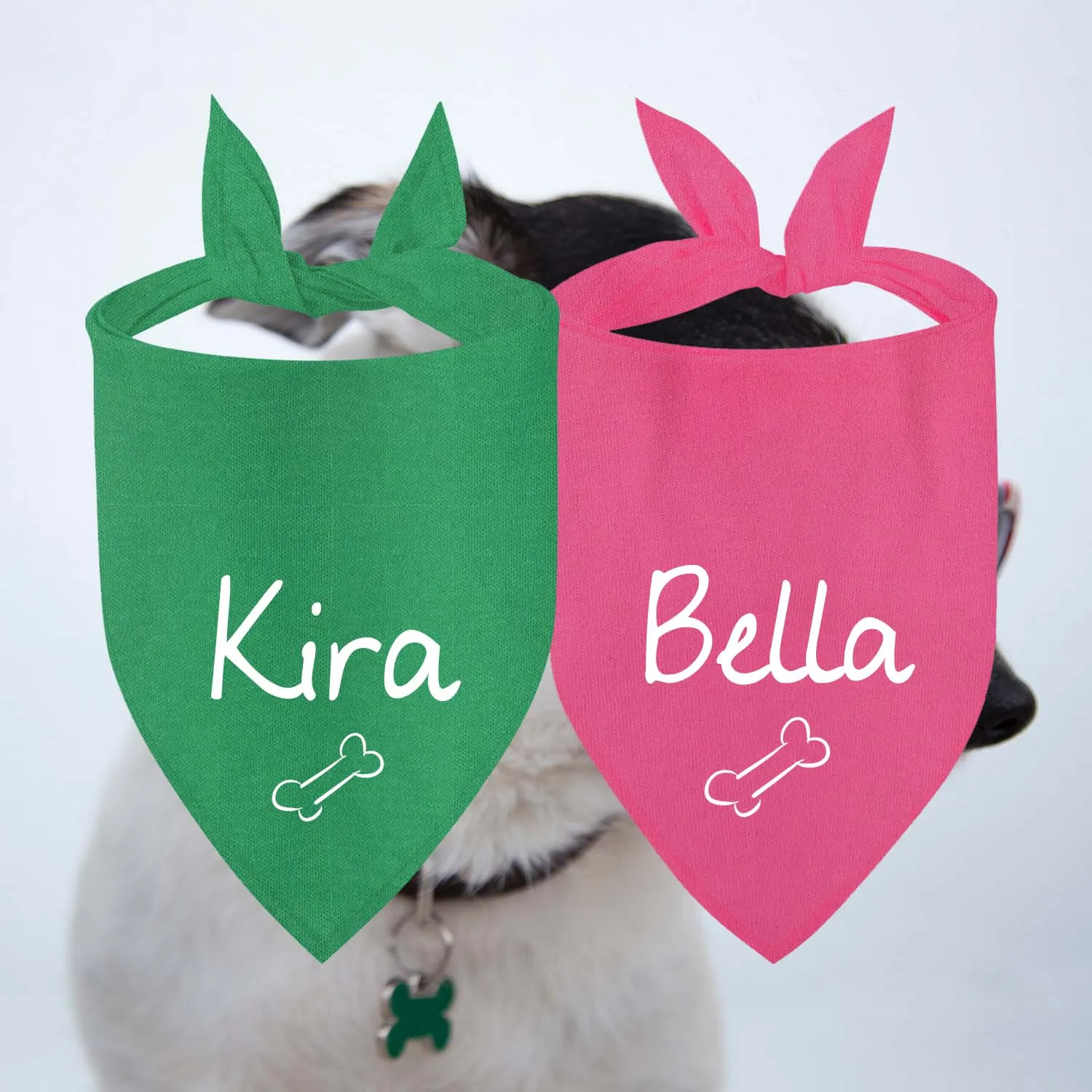Mascota con conjunto completo