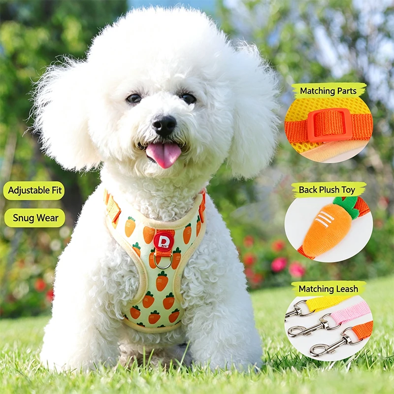 Arnés y correa ajustable para perros pequeños y medianos – Diseño fresa