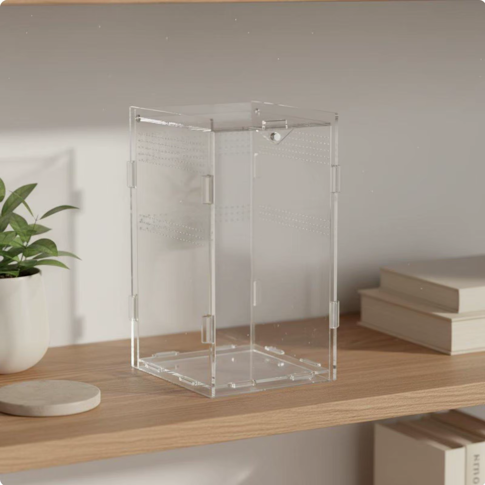 Terrario Transparente para Reptiles con Vista Panorámica 360° - imagen 3