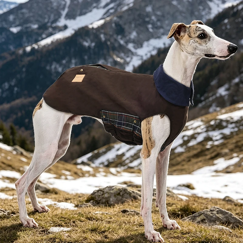 Chaqueta impermeable para perros – Gabardina vintage otoño/primavera - imagen 5