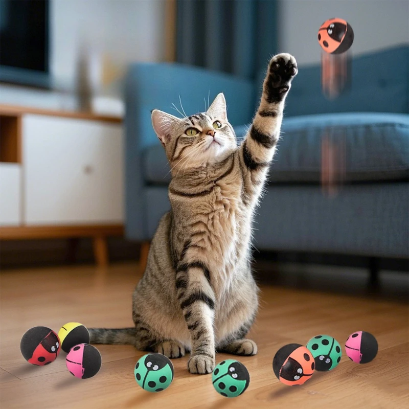 Gato jugando con la pelota de insecto